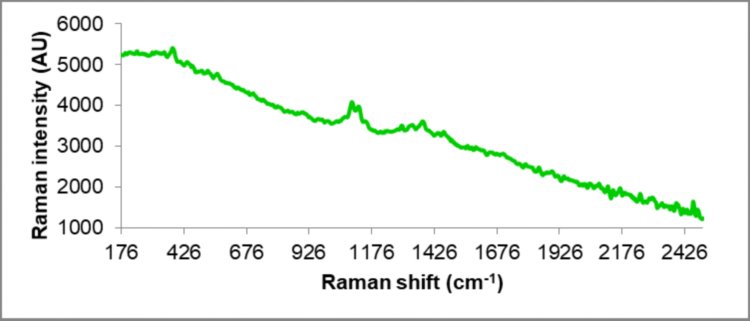  Raman spectrum of a suspected counterfeit Adderall pill  collected with a 785 nm handheld Raman system