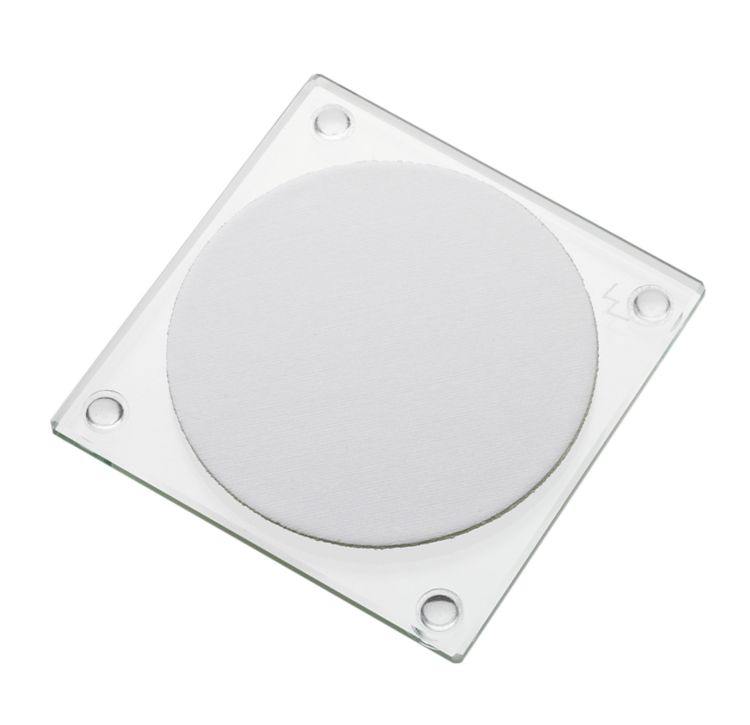 Polishing plate for Bioscan flow cell