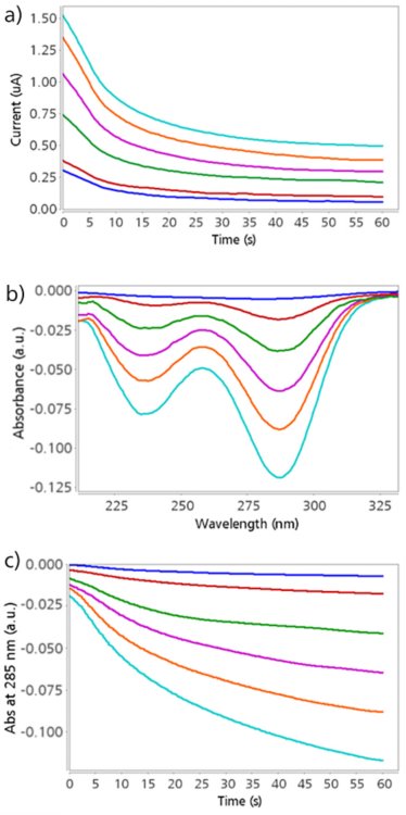 (a) Detección amperométrica a +0,80 V y (b) Espectros UV-Vis obtenidos a 60 s para diferentes concentraciones de UA en 0,1 mmol/L de HCl. (c) Evolución de la absorbancia a 285 nm durante 60 s obtenida con la herramienta “Spectra vs time”. Concentración de UA: 0,01 mmol/L (línea azul), 0,02 mmol/L (línea roja), 0,04 mmol/L (línea verde), 0,06 mmol/L (línea rosa), 0,08 mmol/L (línea naranja) y 0,1 mmol /L (línea turquesa). 