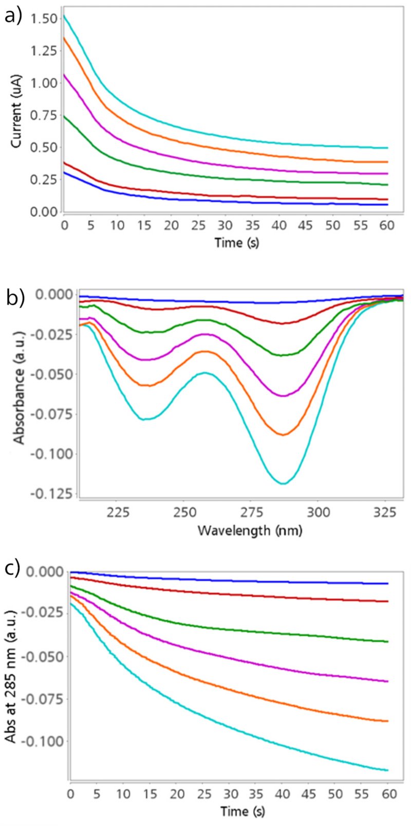 (a) Detección amperométrica a +0,80 V y (b) Espectros UV-Vis obtenidos a 60 s para diferentes concentraciones de UA en 0,1 mmol/L de HCl. (c) Evolución de la absorbancia a 285 nm durante 60 s obtenida con la herramienta “Spectra vs time”. Concentración de UA: 0,01 mmol/L (línea azul), 0,02 mmol/L (línea roja), 0,04 mmol/L (línea verde), 0,06 mmol/L (línea rosa), 0,08 mmol/L (línea naranja) y 0,1 mmol /L (línea turquesa). 