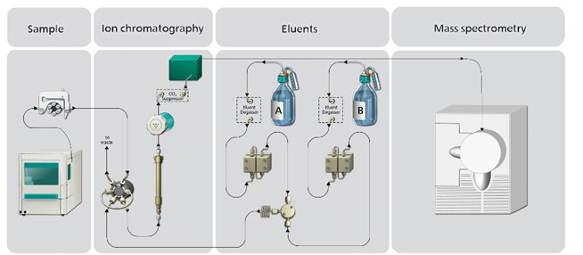 Flow path for the hyphenation of ion chromatography with mass spectrometry. The application requires an ion chromatograph with gradient pumps and sequential suppression. The suppression is required so that the eluent does not interfere with ion spray performance of the MS. An autosampler with a cooling function guarantees sample stability by limiting the decay of the HAAs over time. Beside the mass detection, conductivity detection occurs simultaneously.