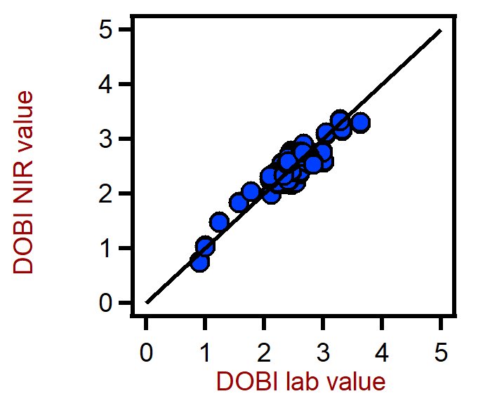 Correlation diagram for the prediction of the deterioration of bleachability index (DOBI) in palm oil using a XDS RapidLiquid Analyzer. The DOBI lab value was evaluated using photometry.