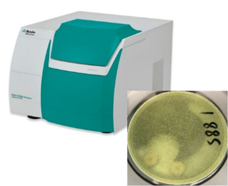 DS2500 Solid Analyzer and a polymer sheet resin.