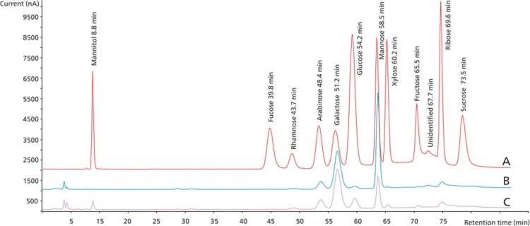 Chromatogram overlay of (A) a 5 mg/kg mixed carbohydrate standard and the diluted (1:10) samples of (B) Jacobs coffee and (C) customer instant coffee after acid hydrolysis. The separation and detection were performed according to the setup listed in Figure 1. For better performance, quantification of fructose and ribose should be performed using peak height.
