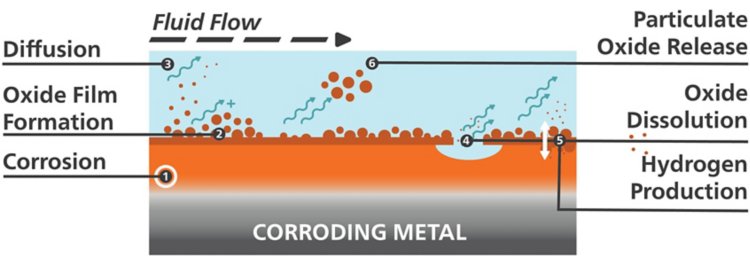 Diagram of processes occurring during flow-accelerated corrosion. Adapted from [1].