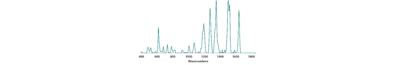 Gold NP SERS standard reference spectrum of Rhodamine B.