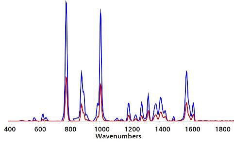 Direct testing of an untreated non-organic banana purchased from a grocery store returned an Ag P-SERS spectrum consistent with detection of TBZ.