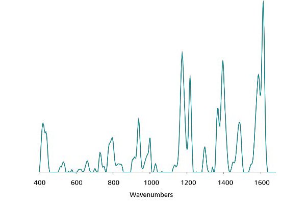 Standard 1 μg/mL Au NP SERS reference spectrum of malachite green.