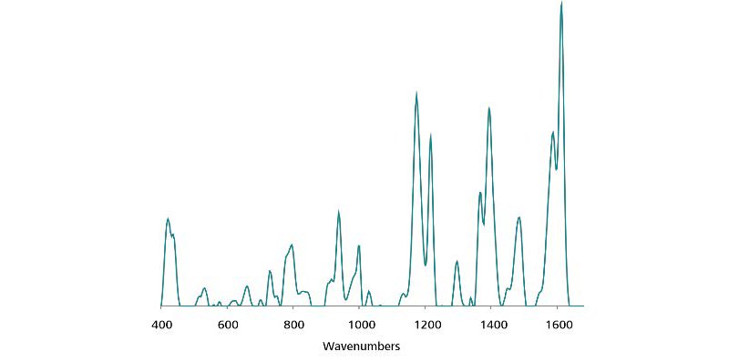 Standard 1 μg/mL Au NP SERS reference spectrum of malachite green.