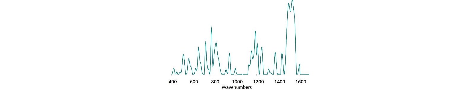 Standard SERS reference spectrum of Auramine O.