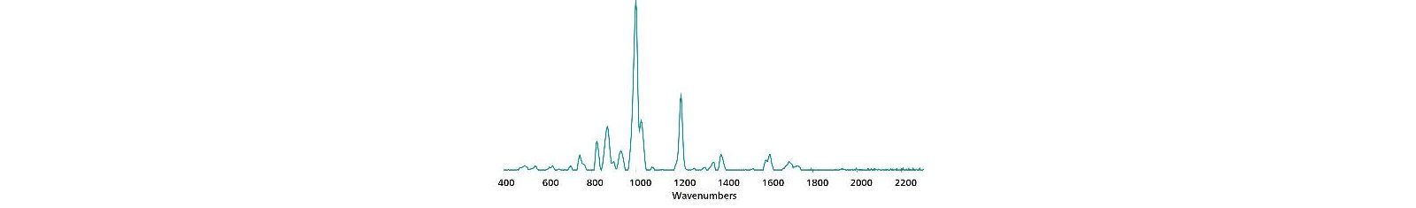 Standard SERS Au NP reference spectrum for aspartame in water.