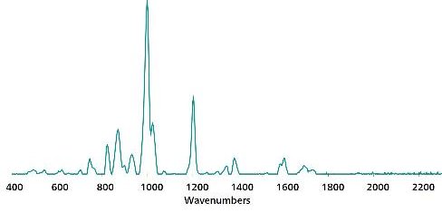 Standard SERS Au NP reference spectrum for aspartame in water.