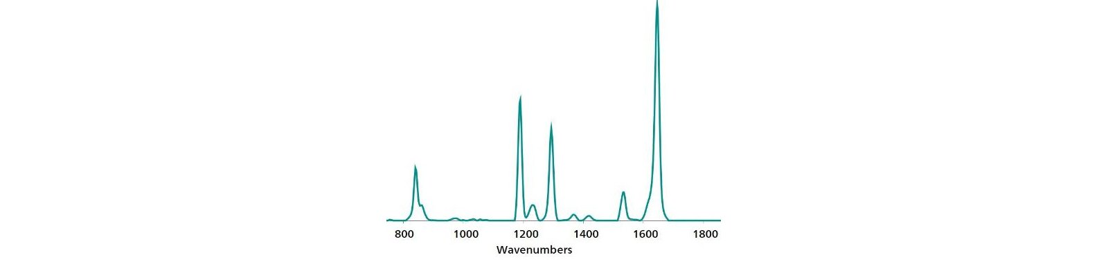 Standard reference SERS Au NP spectrum of paraquat.