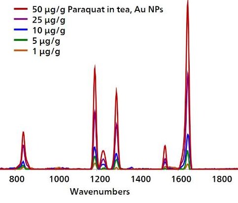 Spettri SERS per un intervallo di concentrazione di paraquat nel tè.