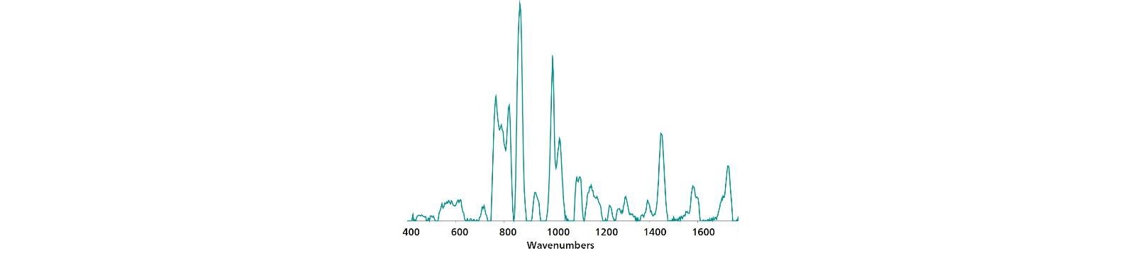 Standard Au NP SERS reference spectrum of malathion.