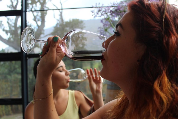Mulher bebendo uma taça de vinho. Outra mulher é vista ao fundo bebendo vinho em uma taça.