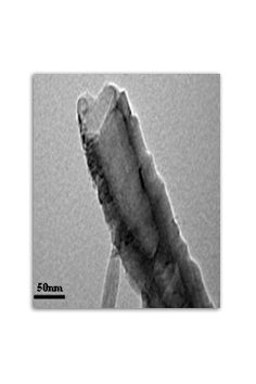 Carbon Nanofibres Solution