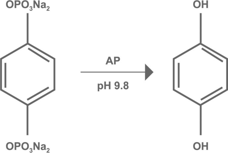 Hydroquinone Diphosphate