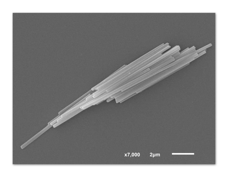 Nickel Nanowires Metrohm