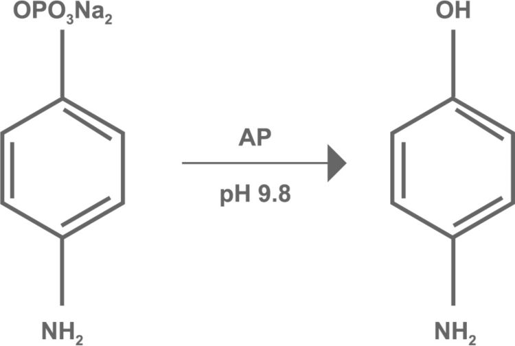 p-氨基苯磷酸盐
