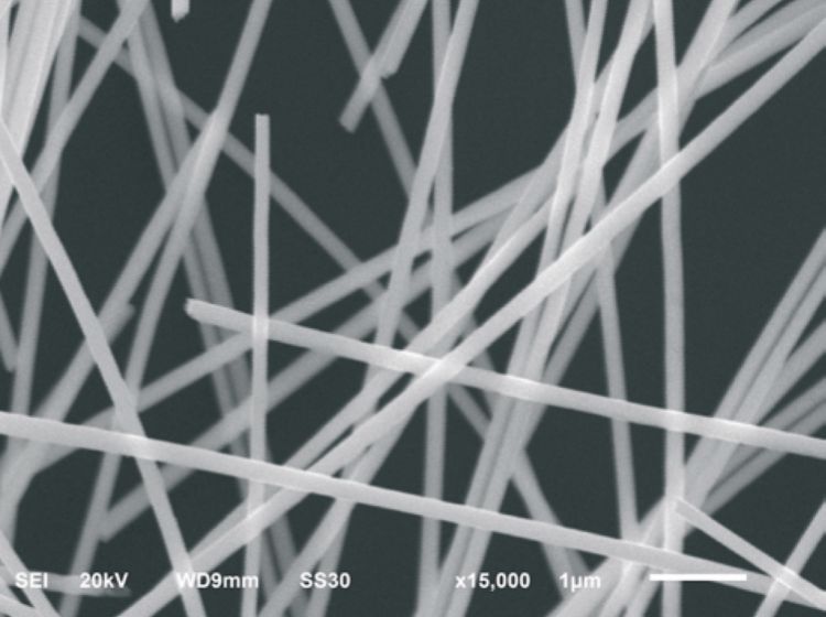 Palladium Nanowires