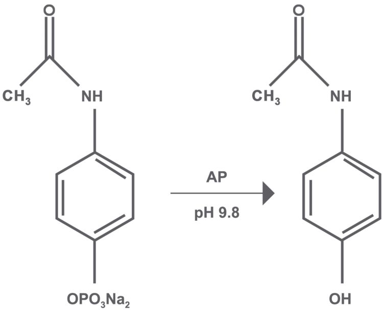 Phosphorilated Paracetamol