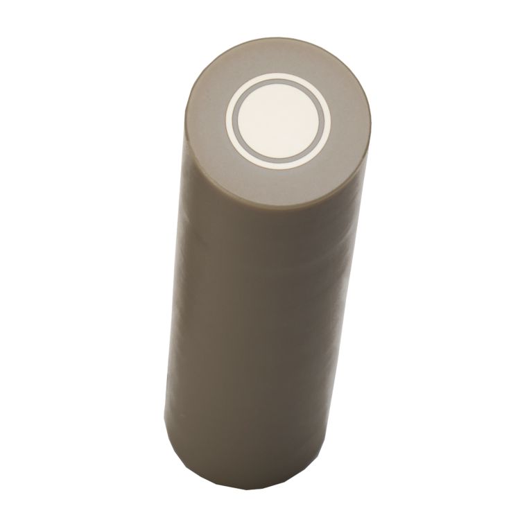 Rotating Ring Disk Electrode, Platinum disk Platinum ring