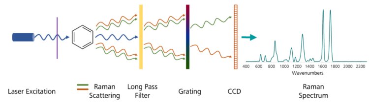 https://s7e5a.scene7.com/is/image/metrohm/Raman-overview-image?qlt=85&ts=1649933510836&dpr=off
