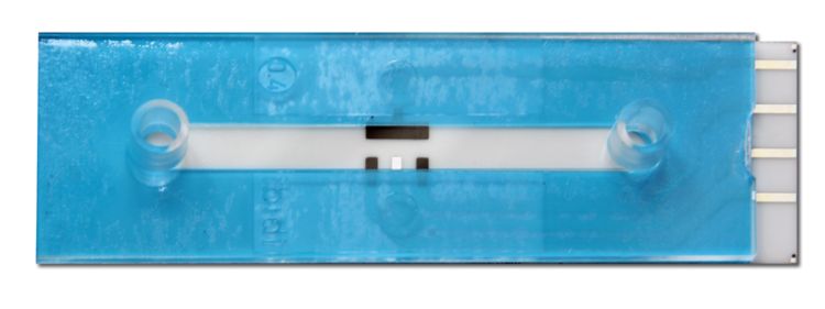 Thin-Layer Flow-Cell Integrated Dual Screen-Printed Carbon Electrode