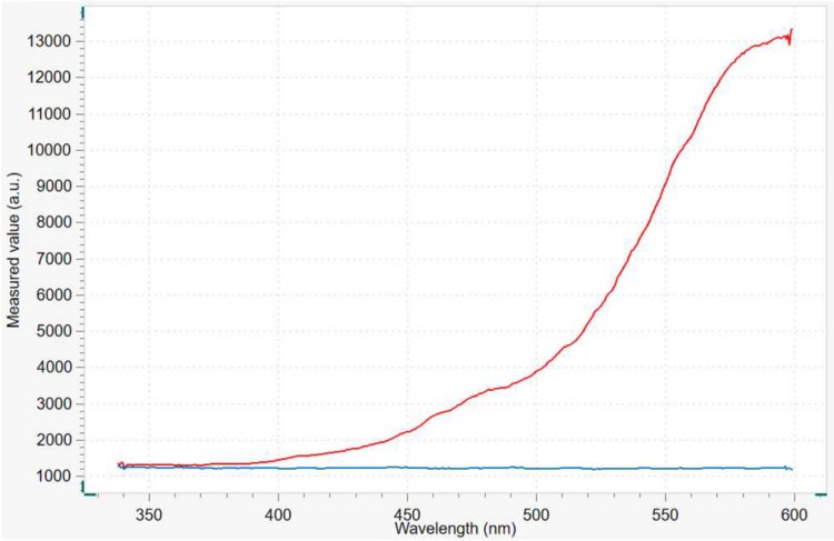 Dark spectrum (blue line) and reference spectrum (red line) recorded at the beginning of the measurement.