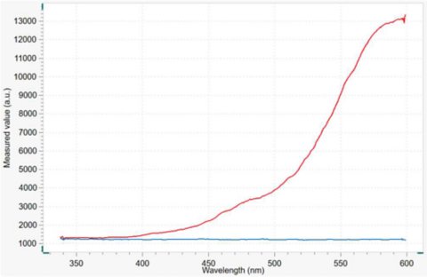 Dark spectrum (blue line) and reference spectrum (red line) recorded at the beginning of the measurement.