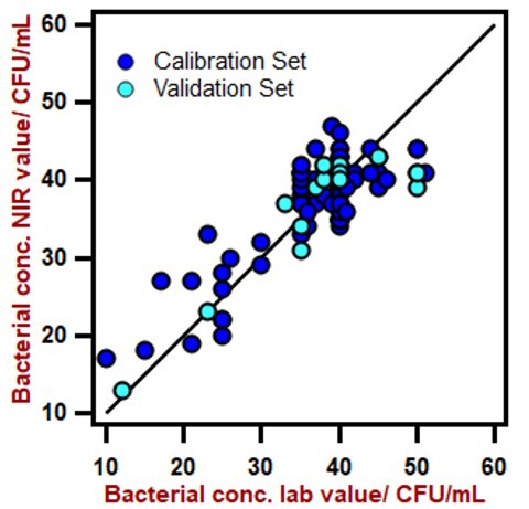 Correlation diagram for the prediction of bacterial concentration in fermentation broth using a DS2500 Solid Analyzer. The lab value was evaluated using UV-Vis spectrophotometry.