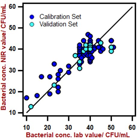 Diagramma di correlazione per la previsione della concentrazione batterica nel brodo di fermentazione utilizzando un analizzatore solido DS2500. Il valore di laboratorio è stato valutato utilizzando la spettrofotometria UV-Vis.