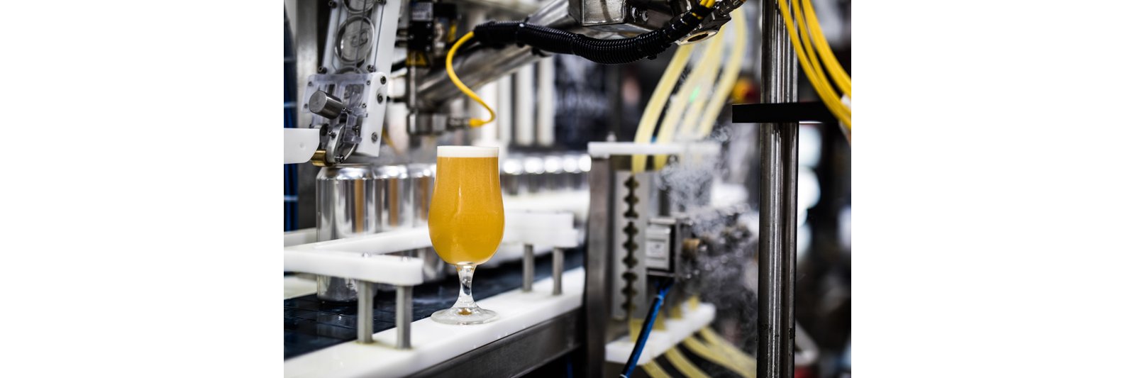 2020/08/03/beer-optimization/_4