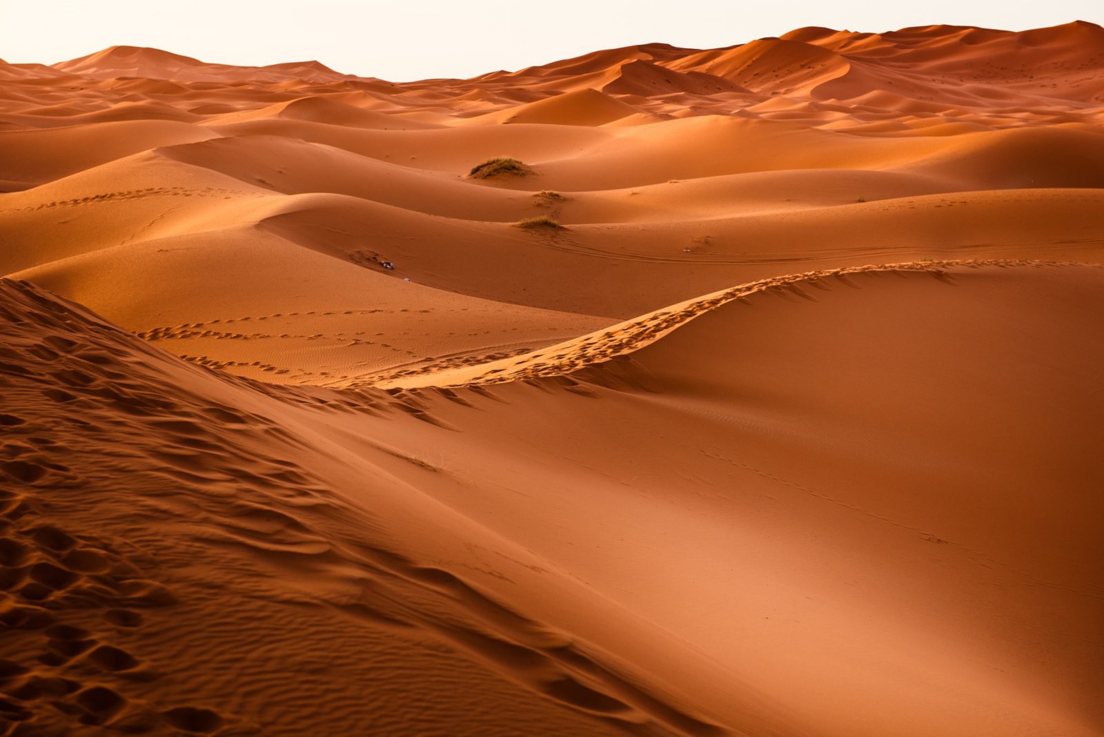 https://s7e5a.scene7.com/is/image/metrohm/desert?qlt=85&ts=1644761315829&dpr=off