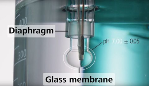 Close-up view of a pH electrode fully immersed in a clear liquid