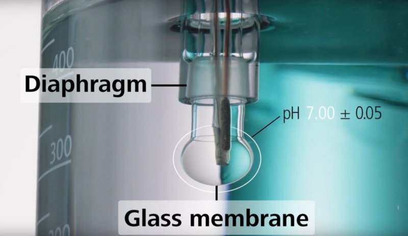 Gros plan d'une électrode de pH entièrement immergée dans un liquide transparent