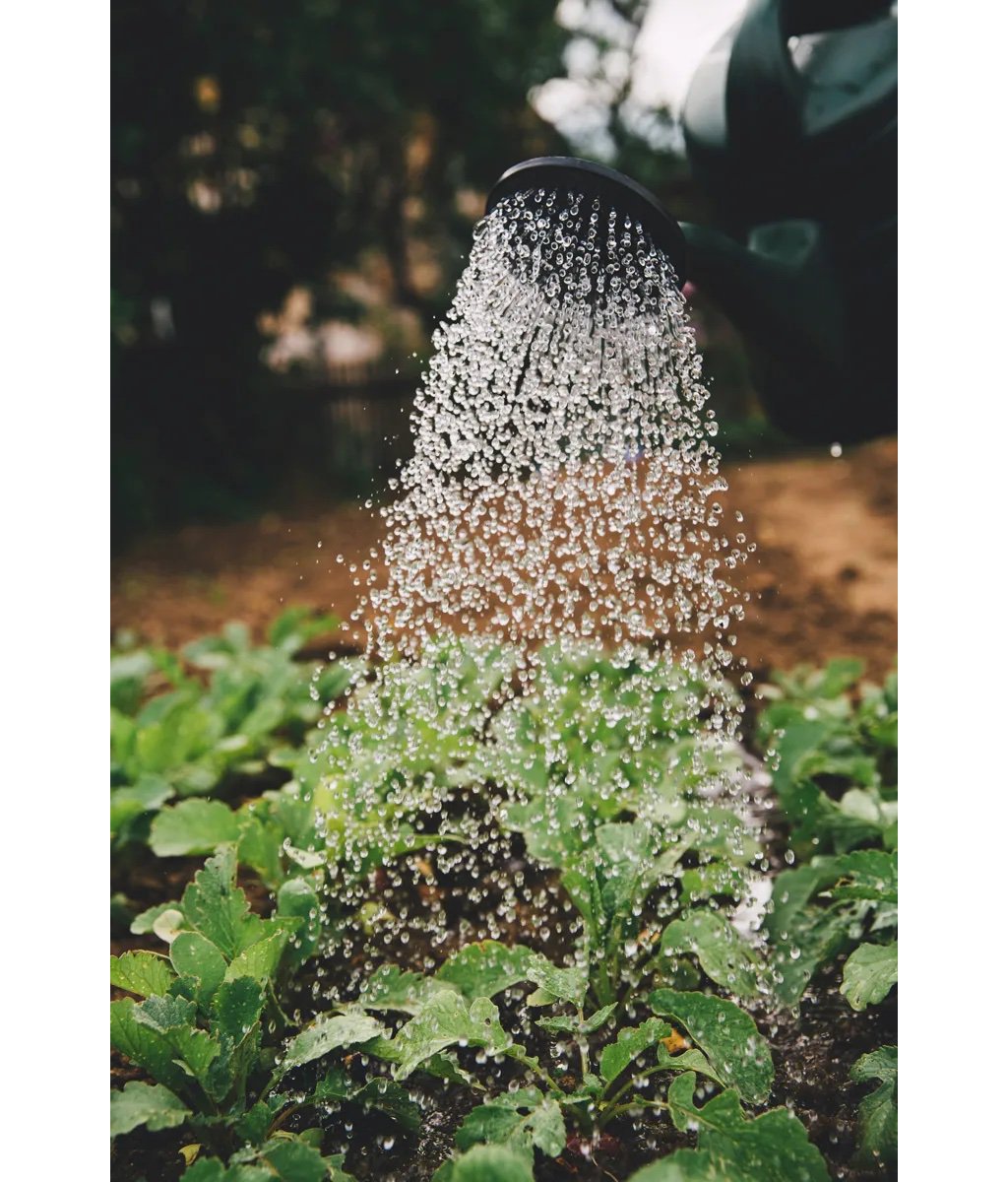 https://s7e5a.scene7.com/is/image/metrohm/markus-spiske-sFydXGrt5OA-unsplash?qlt=85&ts=1688626604121&dpr=off