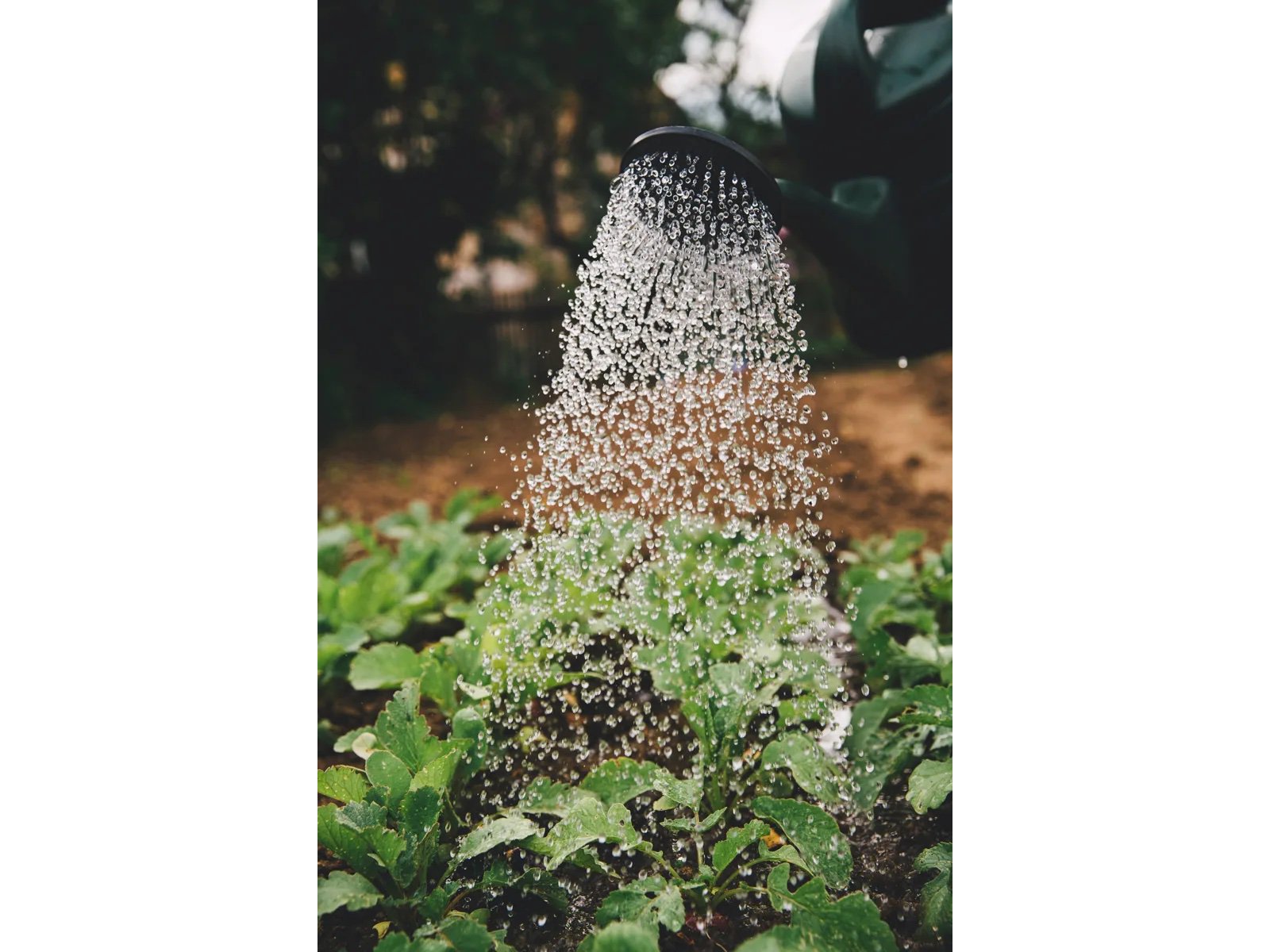https://s7e5a.scene7.com/is/image/metrohm/markus-spiske-sFydXGrt5OA-unsplash?qlt=85&ts=1713956291251&dpr=off