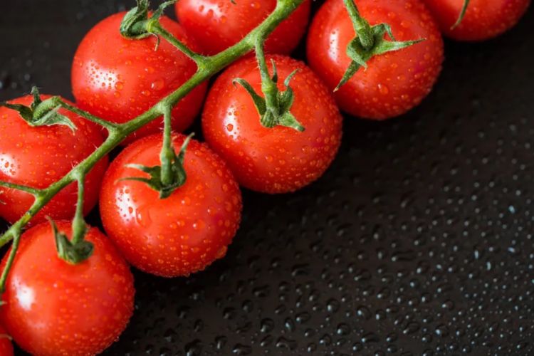 https://s7e5a.scene7.com/is/image/metrohm/perfect-red-wet-tomatoes-1200px?ts=1647938784096&dpr=off