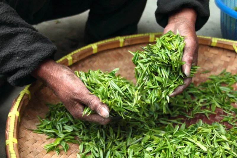 https://s7e5a.scene7.com/is/image/metrohm/tea-leaves-1200px?qlt=85&ts=1647939840548&dpr=off