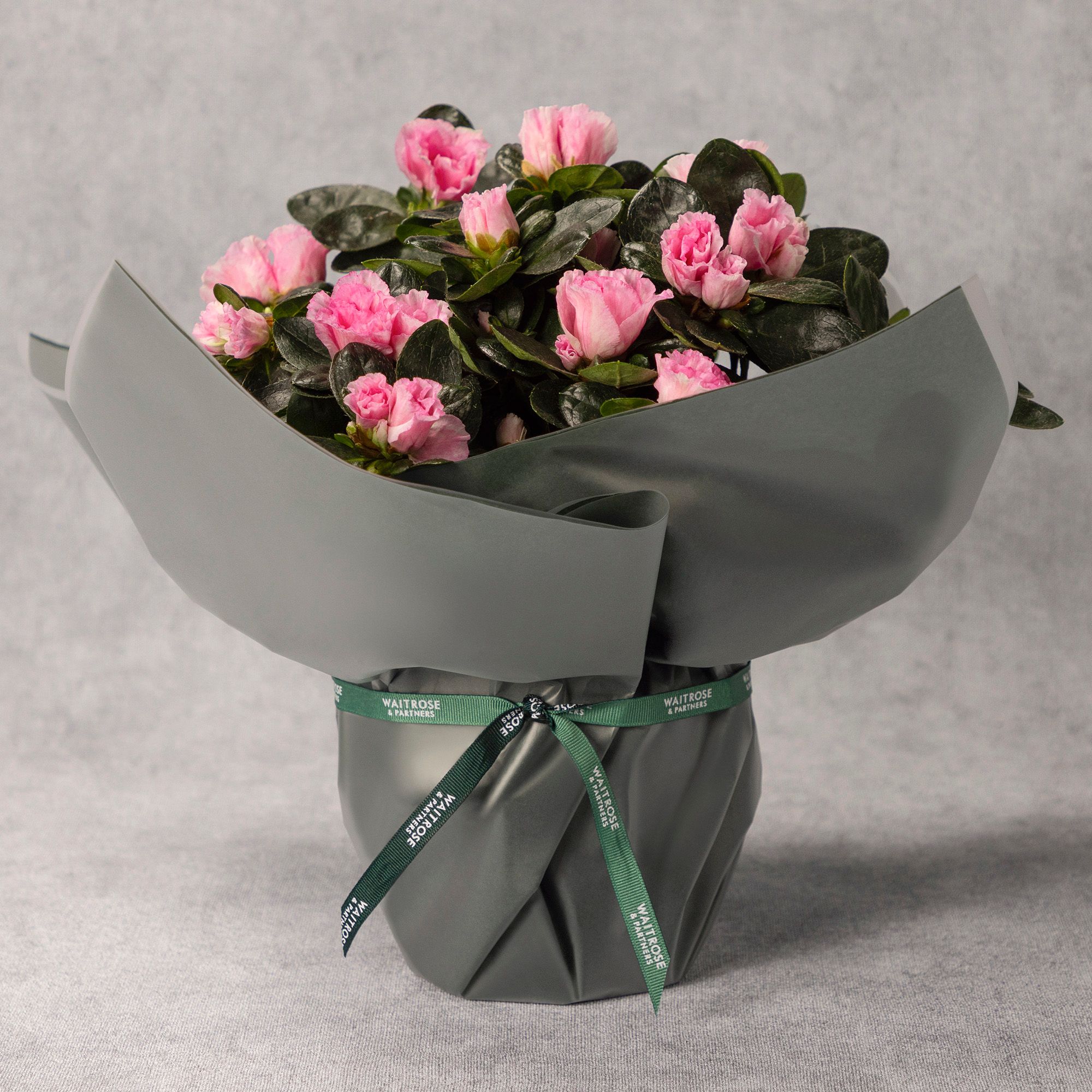 Waitrose Flowers Mothers Day Best Flower Site