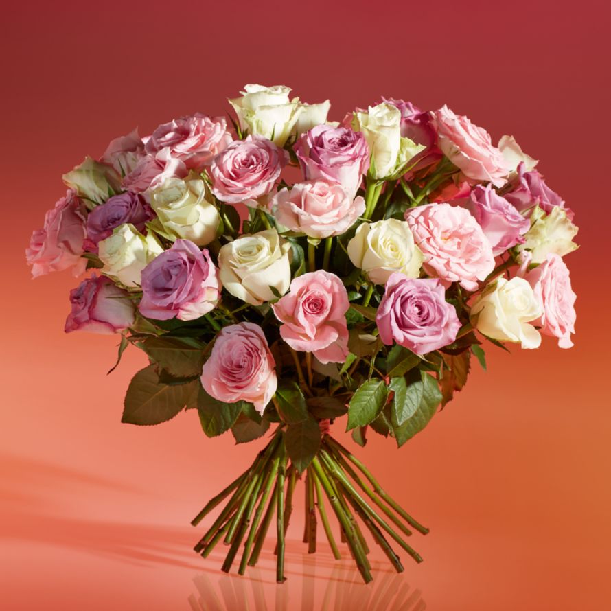 Abundance of Pastel Roses All flowers - Waitrose Florist