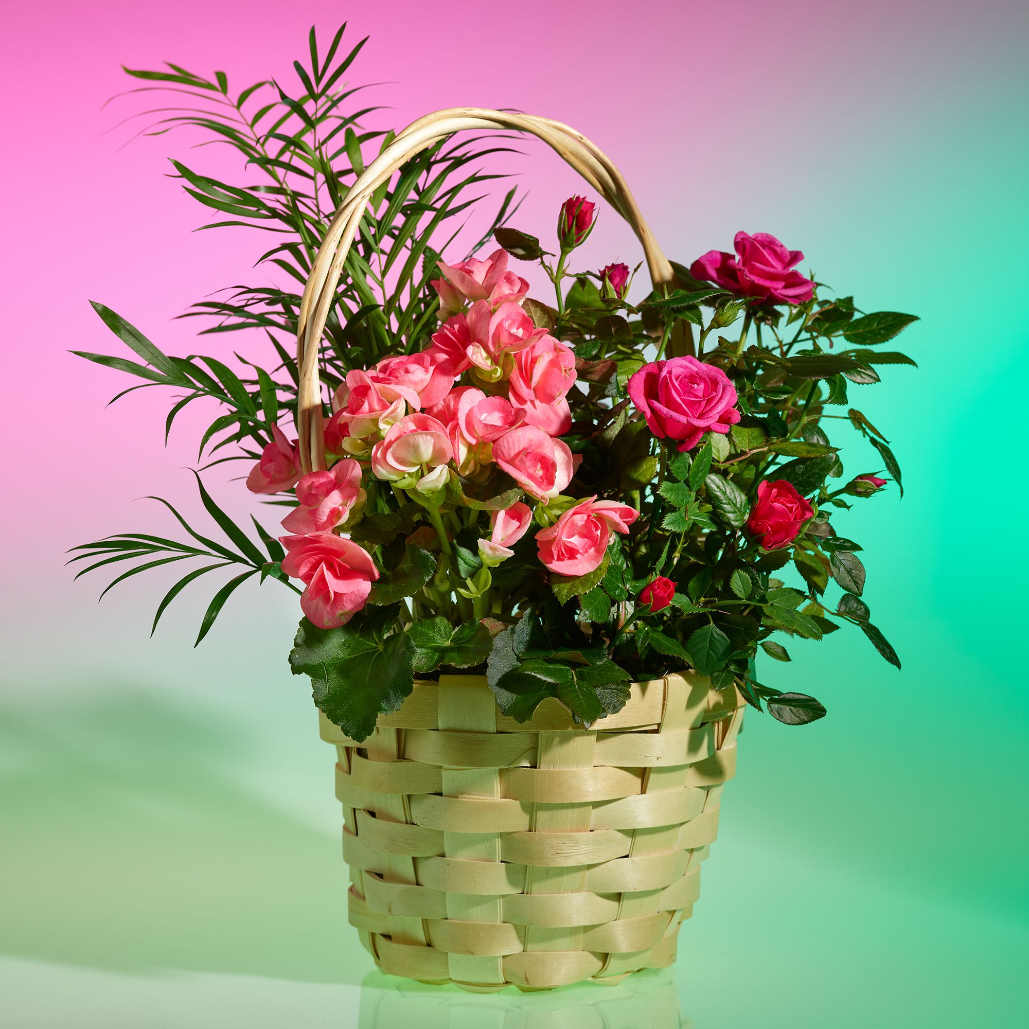 waitrose flowers mothers day