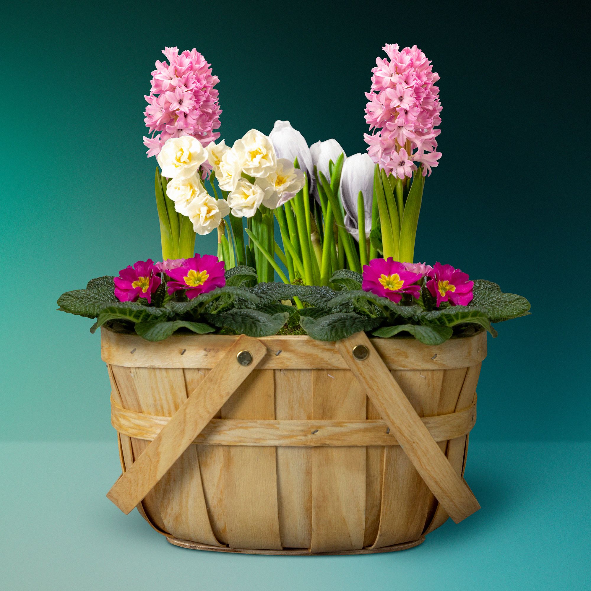 Waitrose Flowers Review Best Flower Site