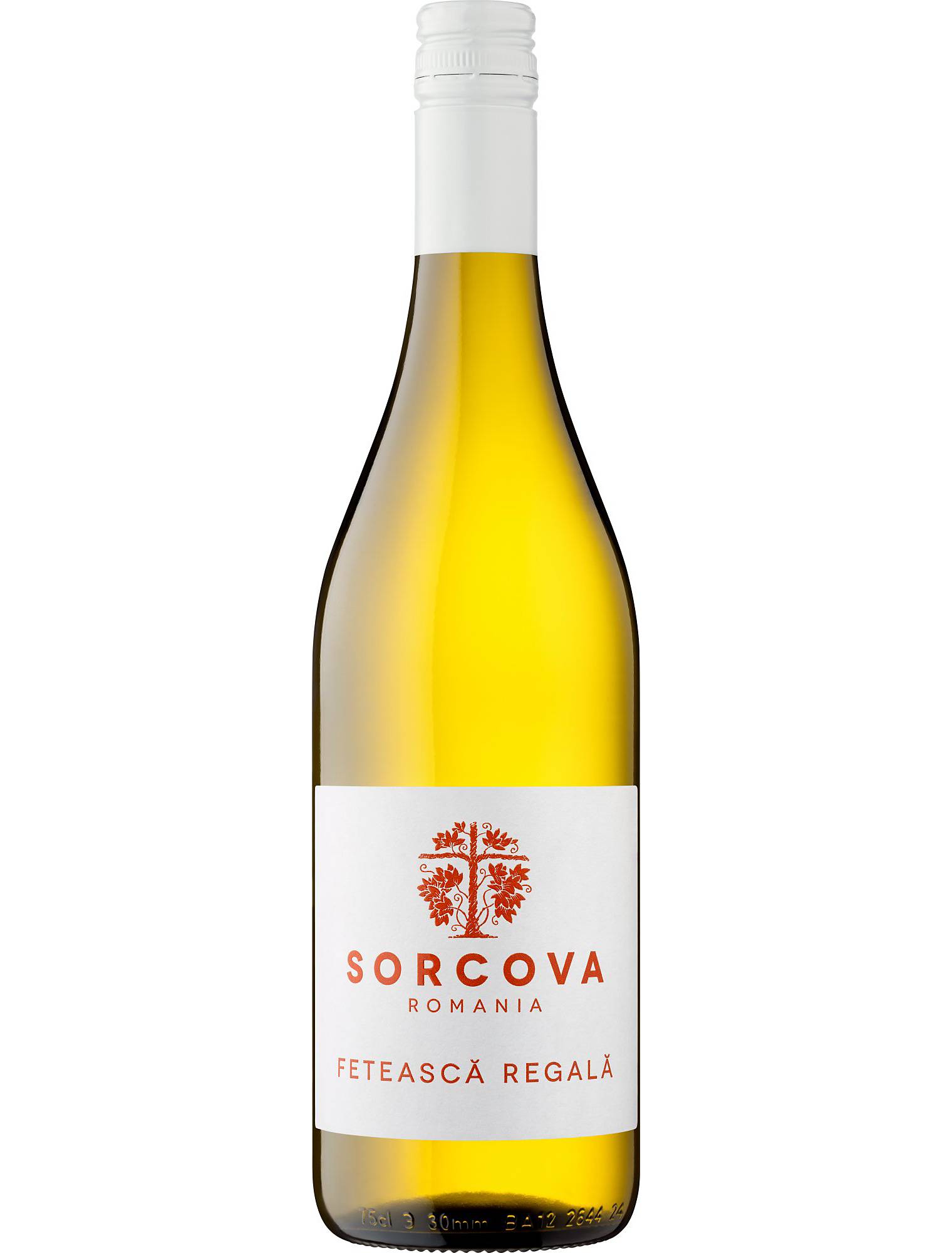 Image of Sorcova Fetească Regală