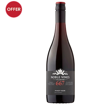 667 Noble Vines Pinot Noir
