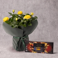 Gift-Wrapped Rose with Green & Black's Classic Collection                                                                       