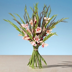 Mini Gladioli Mixed Bouquet                                                                                                     