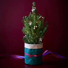 The Mini Christmas Tree                                                                                                         